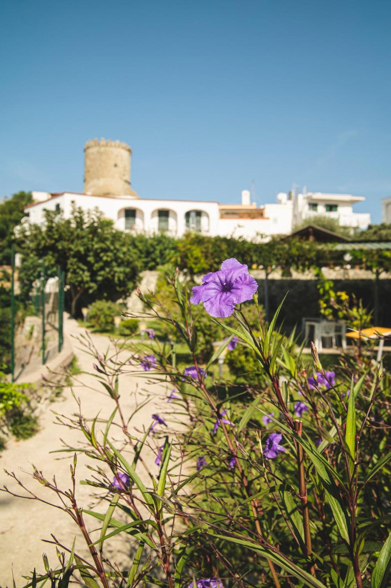 Victoria Park Resort Ischia Exterior photo